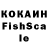 Псилоцибиновые грибы Psilocybe Flush Ehoetus