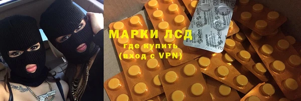 гашик Горняк