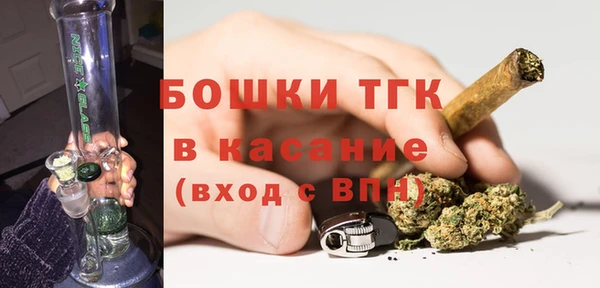 гашик Горняк