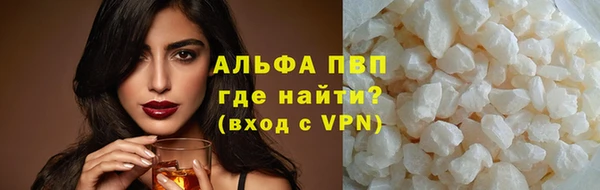 гашик Горняк