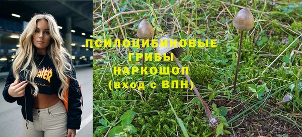 гашик Горняк
