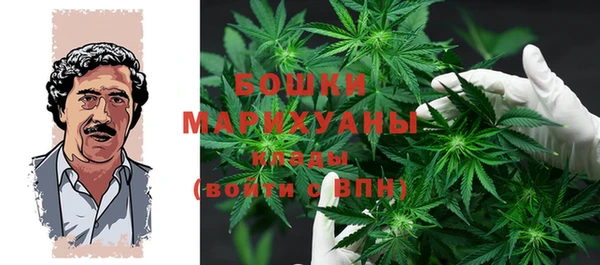 гашик Горняк