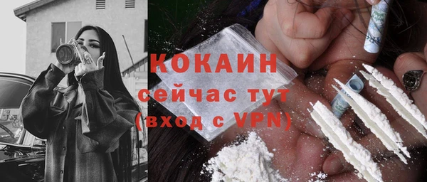 гашик Горняк