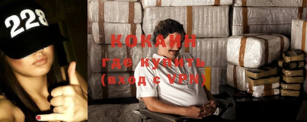 гашик Горняк