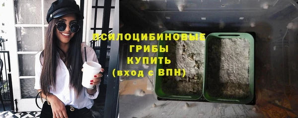гашик Горняк