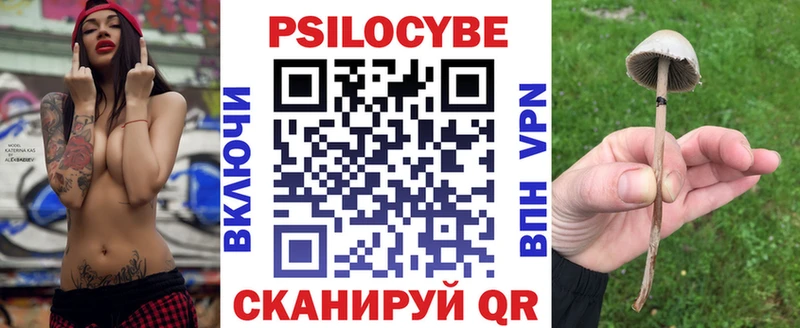 Галлюциногенные грибы Cubensis  Купить закладки  Бабушкин 